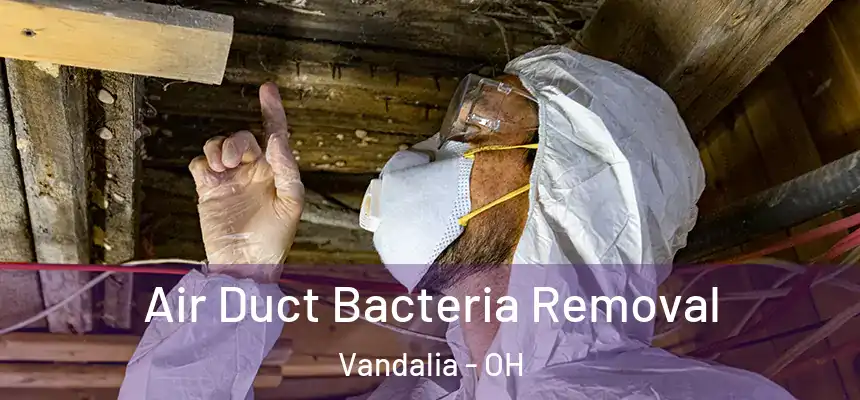  Air Duct Bacteria Removal Vandalia - OH