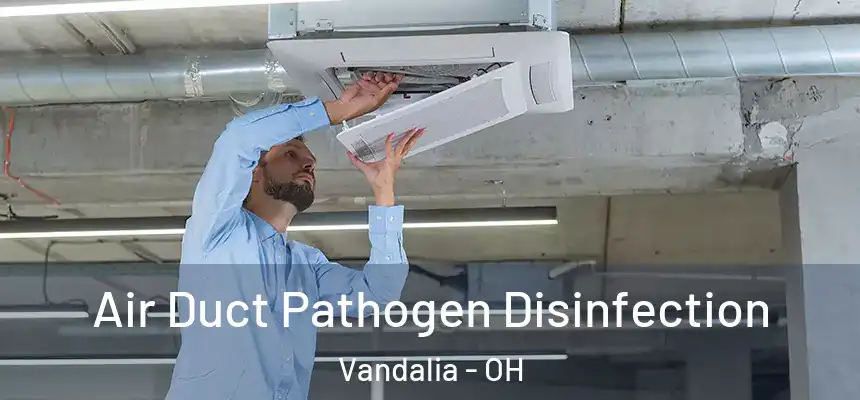  Air Duct Pathogen Disinfection Vandalia - OH