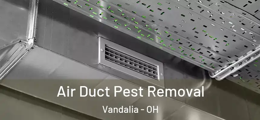  Air Duct Pest Removal Vandalia - OH
