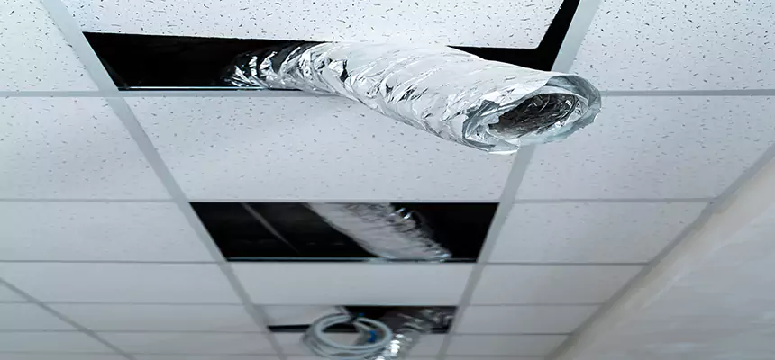 Affordable HVAC Sanitizing After Pest Removal in Vandalia