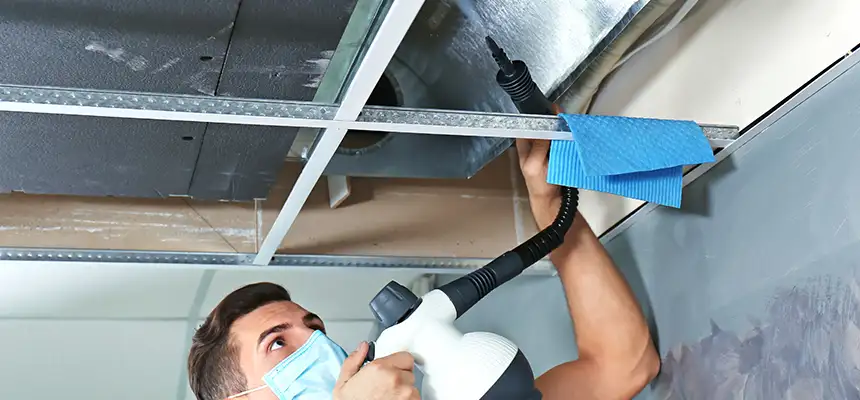 Our Air Duct Rodent Removal Services in Vandalia, OH