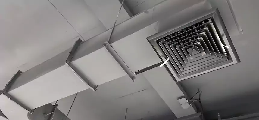 Restorative Allergy Relief Vent Cleaning – Coil, Blower & Housing Detail in Vandalia