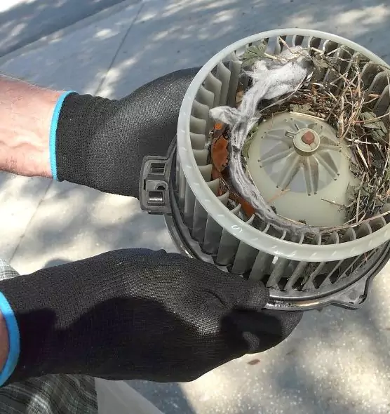 About Air Duct Rat Removal in Vandalia, OH