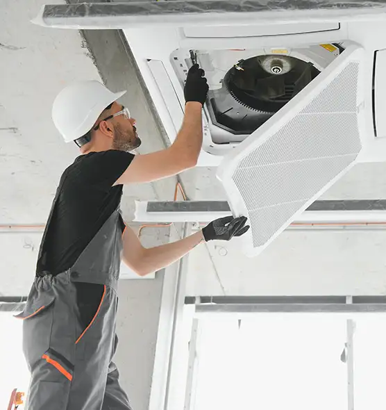 About Air Duct Rodent Removal in Vandalia, OH