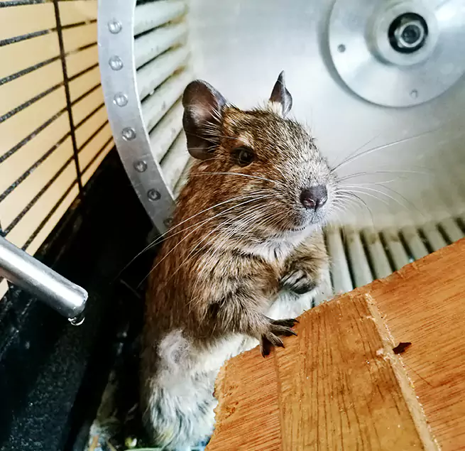 Why Homeowners & Businesses Trust Us Vandalia, OH